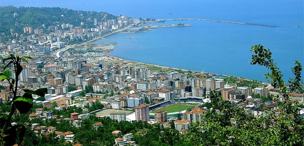 rize-firmalari