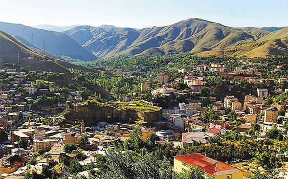 bitlis-firmalari